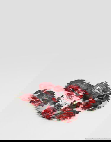 Doplnky Dolce & Gabbana Dolce & Gabbana Floral Print Rubber Slides Rôznofarebný | CW2215A6L05HA5KQ, 1