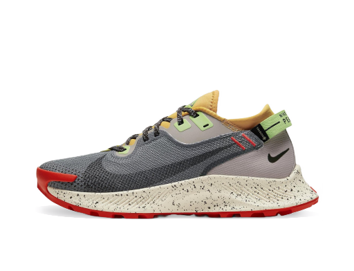 Bežecké topánky Nike Pegasus Trail 2 GTX W Hnedá | cu2018-002