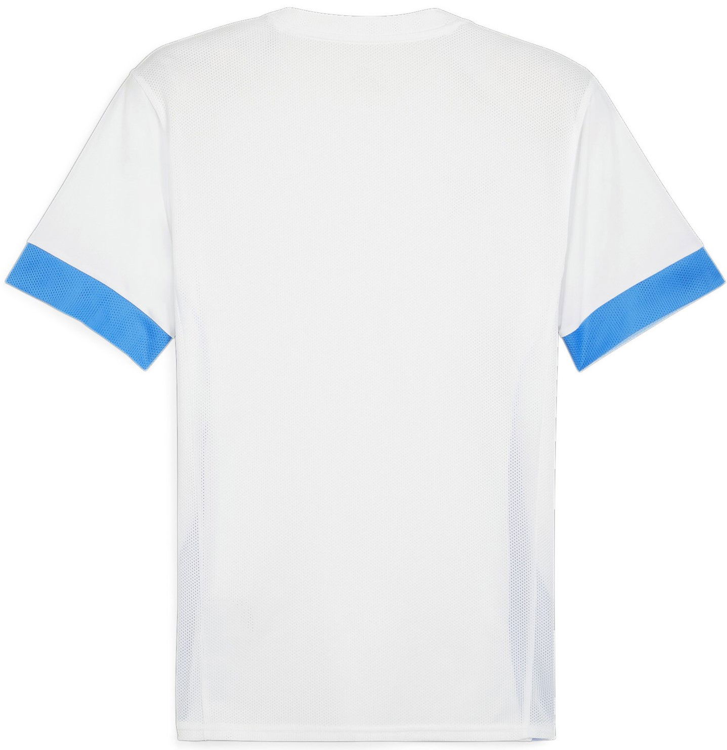 Dres Puma teamGOAL Matchday Jersey Šedá | 705747-12, 1