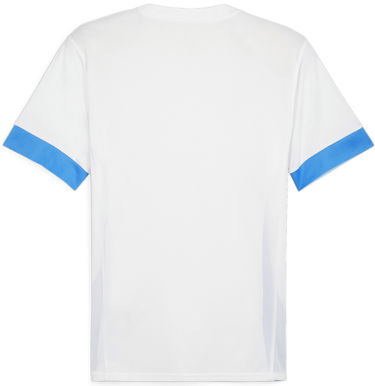 Dres Puma teamGOAL Matchday Jersey Šedá | 705747-12, 1