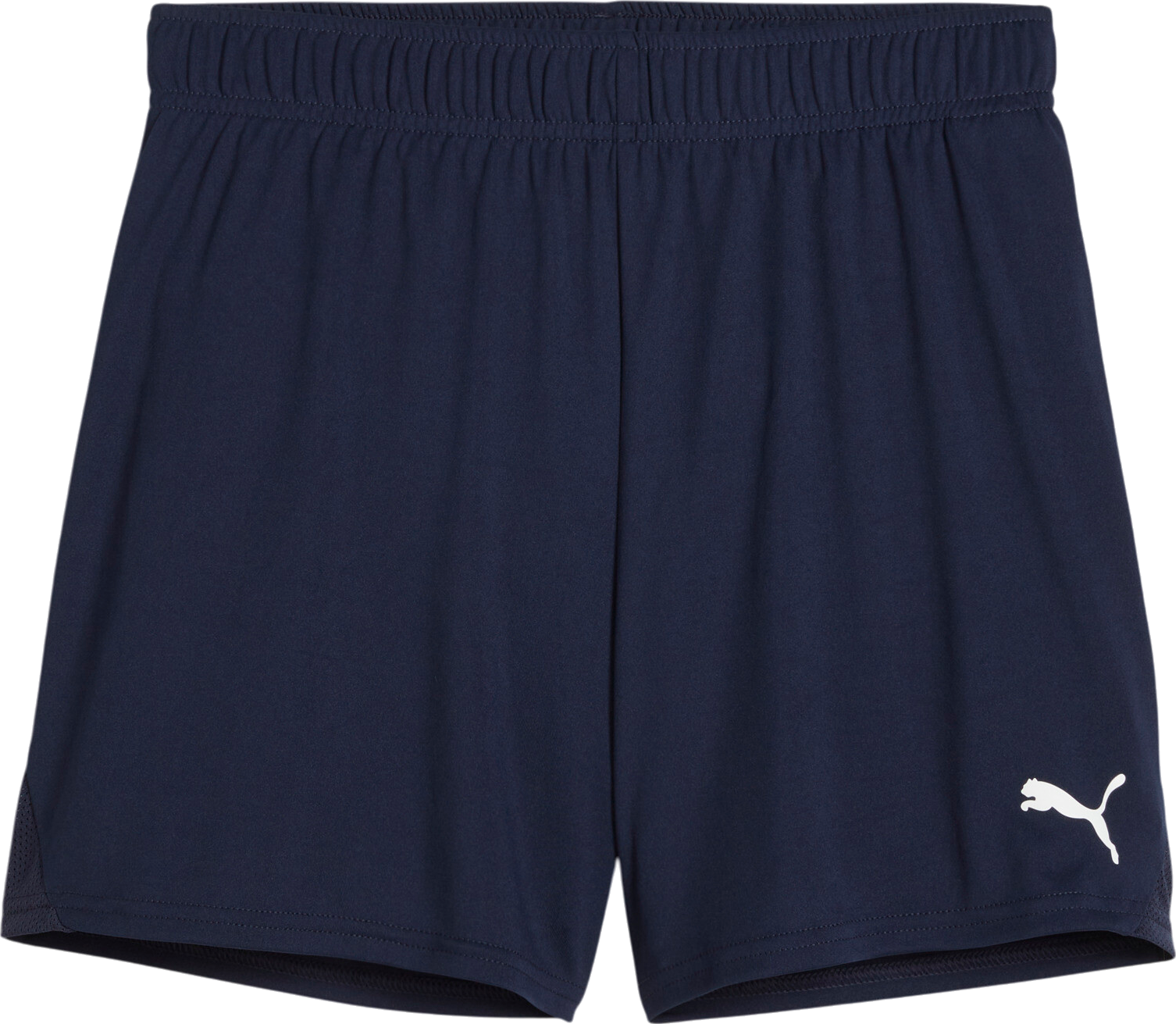 Puma teamGOAL Handball Shorts
