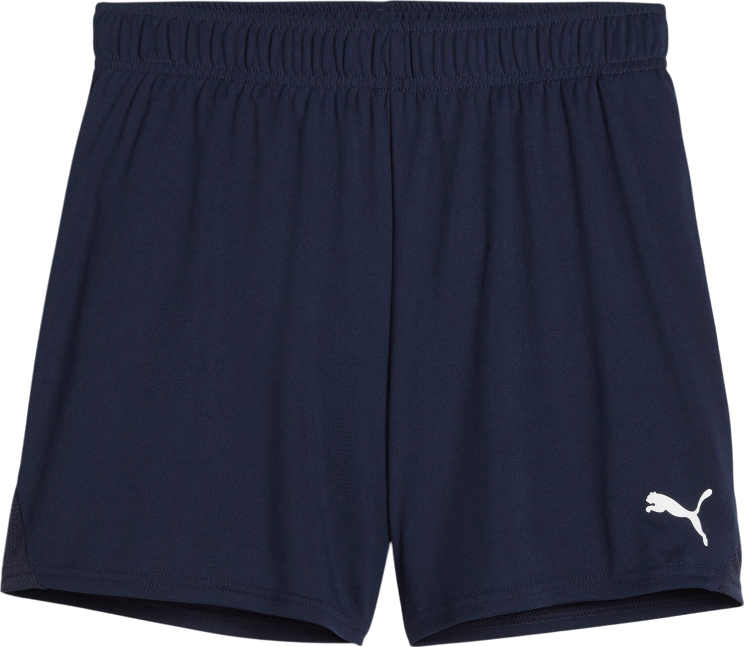 Šortky Puma Puma teamGOAL Handball Shorts Navy | 706019-06, 0