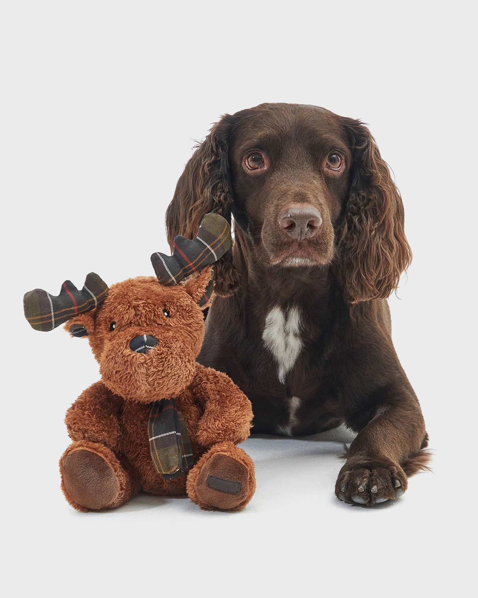 Reindeer Toy