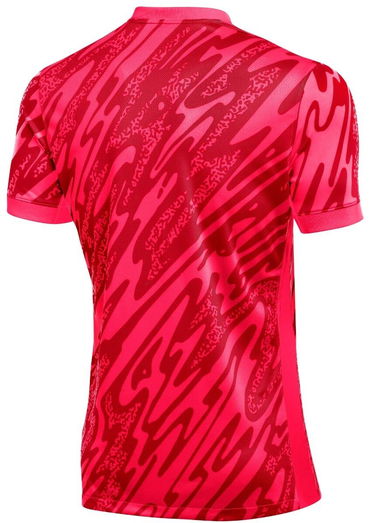 Dres Nike DF GARDIEN V GK JSY SS Červená | fd7482-644, 1