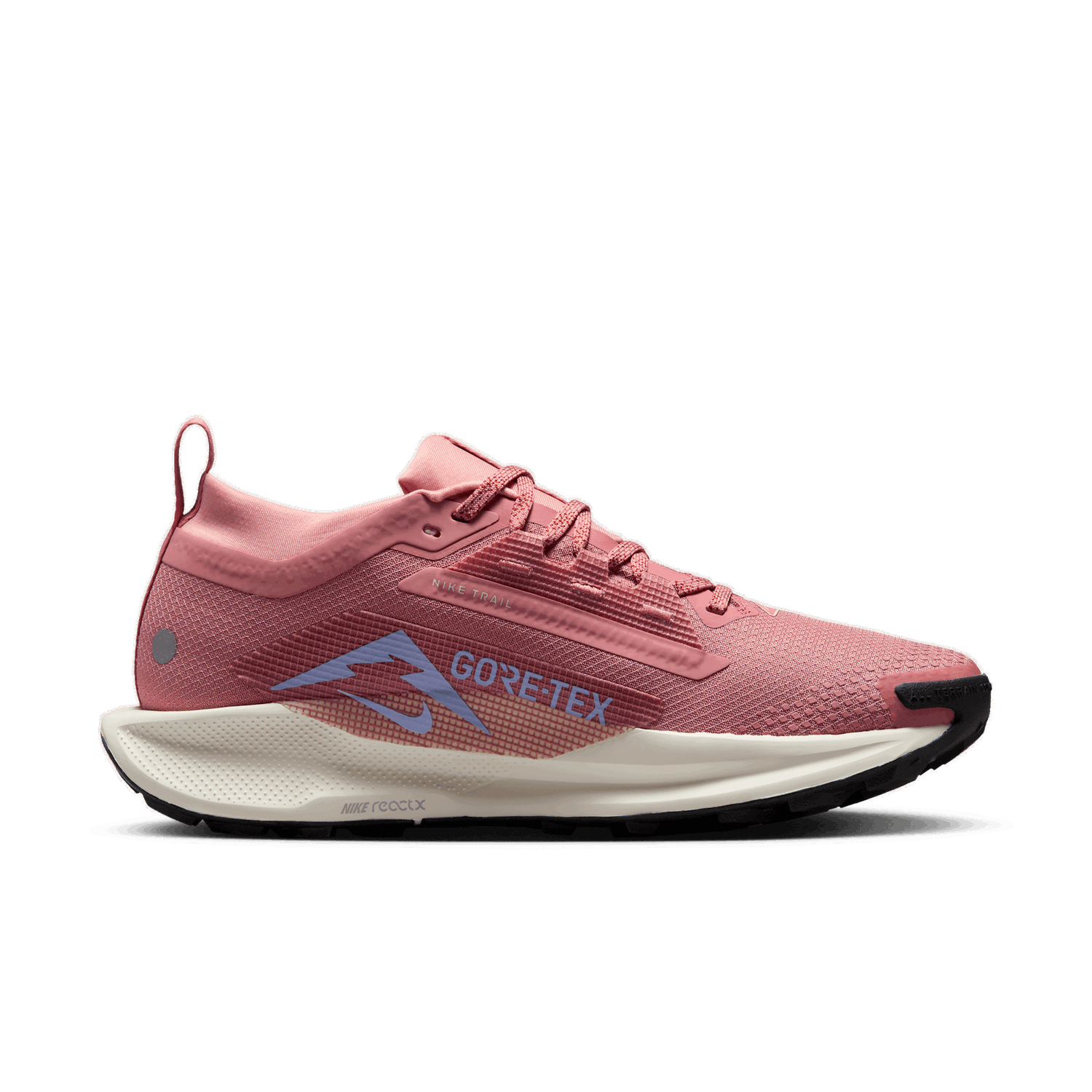 Tenisky a topánky Nike Pegasus Trail 5 GORE-TEX Ružová | FQ0912-602, 1