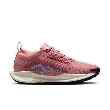 Tenisky a topánky Nike Pegasus Trail 5 GORE-TEX Ružová | FQ0912-602, 1