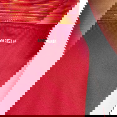 Šortky adidas Originals adidas TIRO24 SHO Červená | ir9379, 2