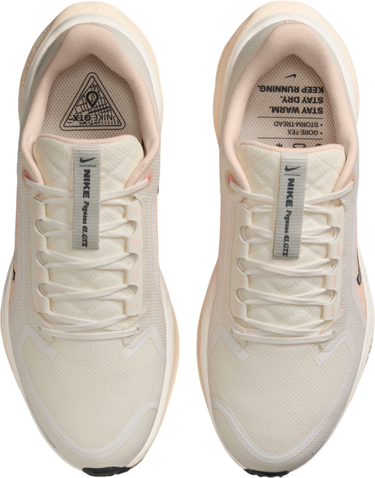 Tenisky a topánky Nike Pegasus 41 GORE-TEX Béžová | fq1357-100, 2