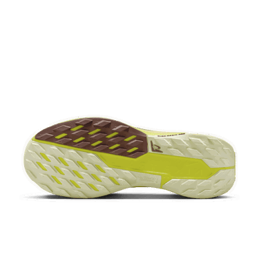 Tenisky a topánky Nike Pegasus Trail 5 GORE-TEX Béžová | FQ0912-101, 2