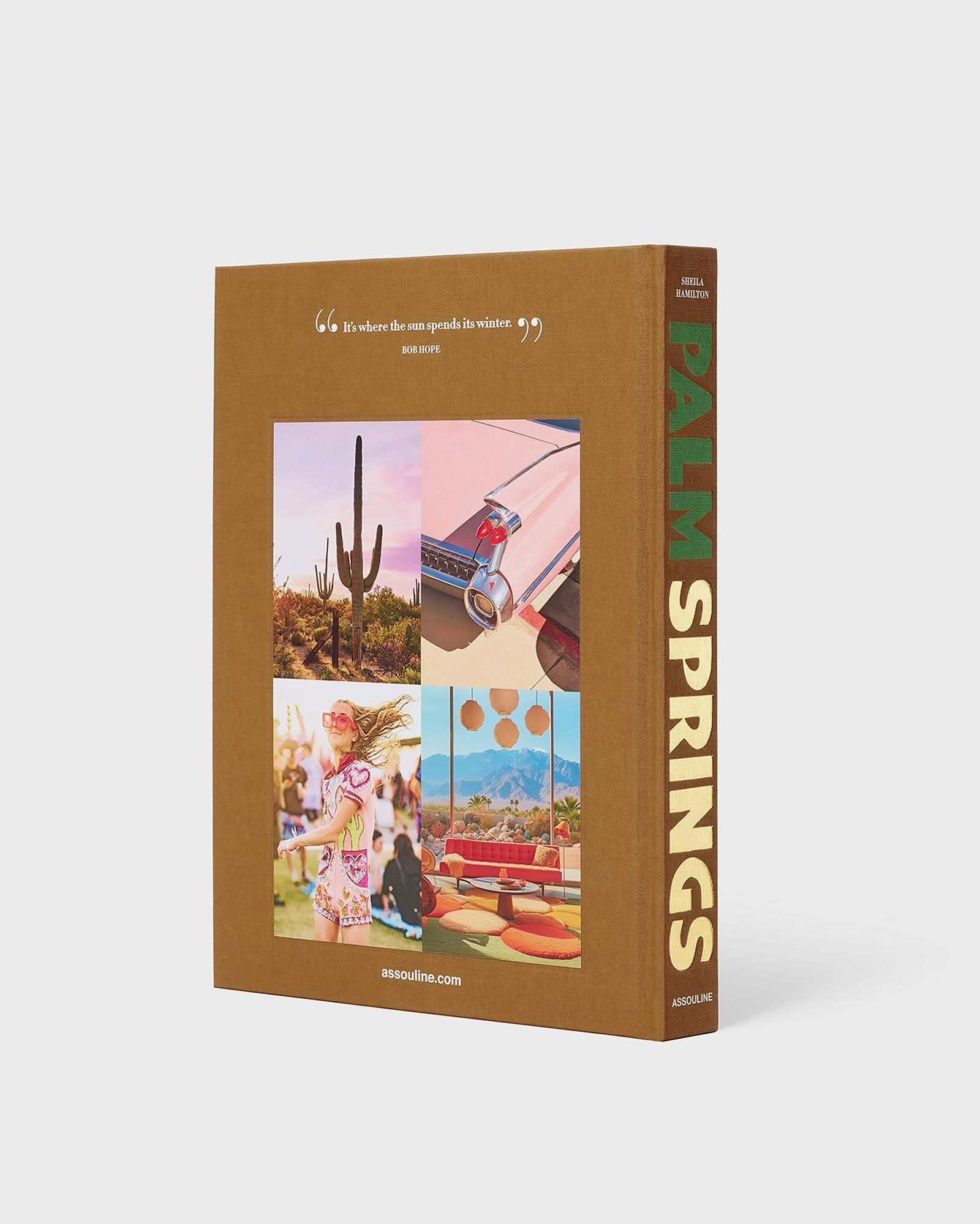 Palm Springs Travel Book