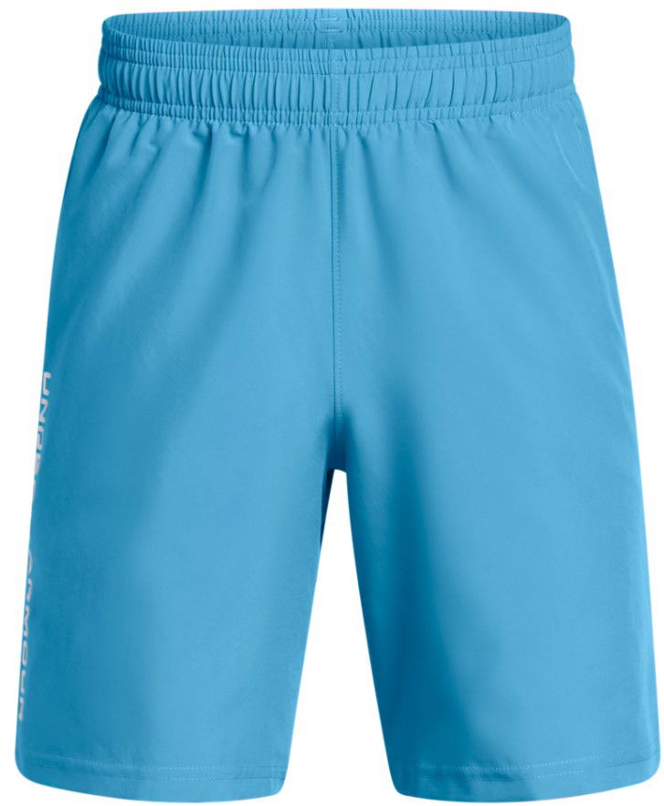 Šortky Under Armour Under Armour UA Tech Woven Wordmark Shorts Modrá | 1383341-452, 0