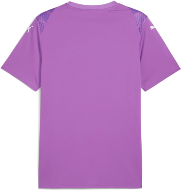 Dres Puma Puma teamULTIMATE Jersey Fialová | 706280-33, 1