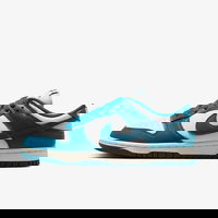 Dunk Low