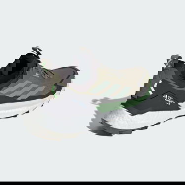 Tenisky a topánky adidas Performance adidas TERREX FREE HIKER 2.0 LOW GORE-TEX Šedá | IE5104, 5