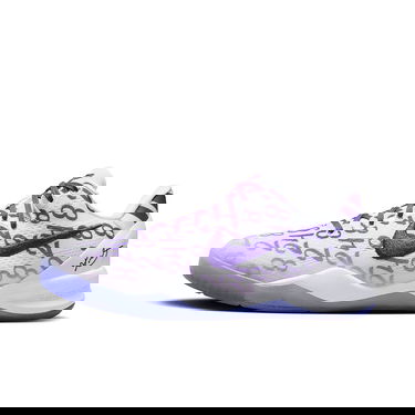 Tenisky a topánky Nike KOBE 8 PROTRO GS COURT Šedá | FN0266-101, 0