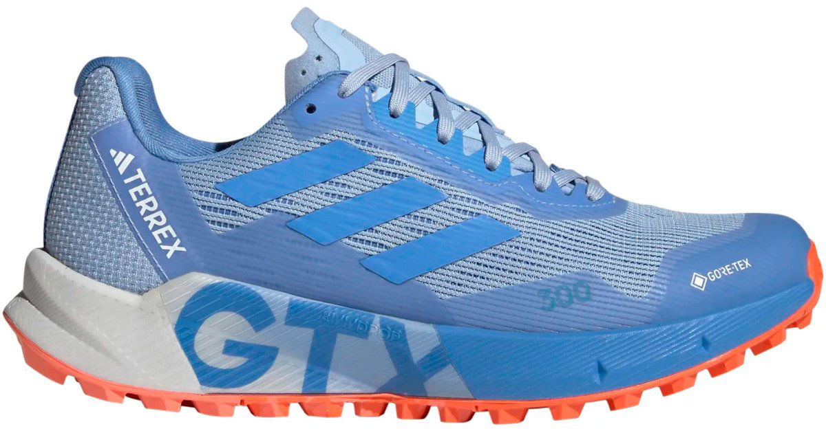 Tenisky a topánky adidas Originals Terrex Agravic Flow 2 Gore-Tex Modrá | hr1147, 1
