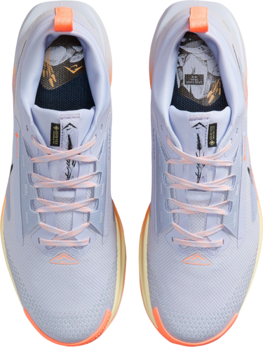Tenisky a topánky Nike Pegasus Trail 5 GORE-TEX Rôznofarebný | fq0908-011, 2