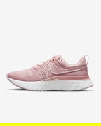React Infinity Run Flyknit 2 W