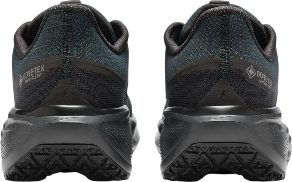 Tenisky a topánky Nike Pegasus 41 GORE-TEX Čierna | fq1356-001, 1