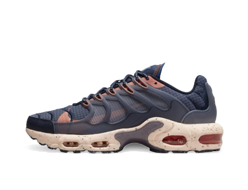 Tenisky a topánky Nike Air Max Terrascape Plus Modrá | DN4587-400