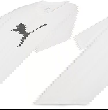 Tričko Puma teamRISE Logo Jersey Cotton Biela | 658705-04, 0