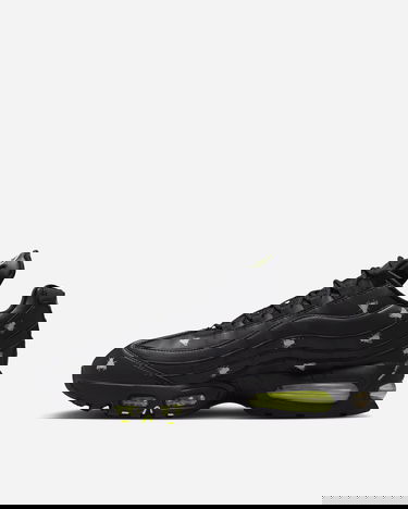 Tenisky a topánky Nike AIR MAX 95 PRM 'Houseflies' Čierna | IM3082-001, 3