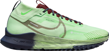 Tenisky a topánky Nike Pegasus Trail 4 GORE-TEX Zelené | dj7926-303, 0
