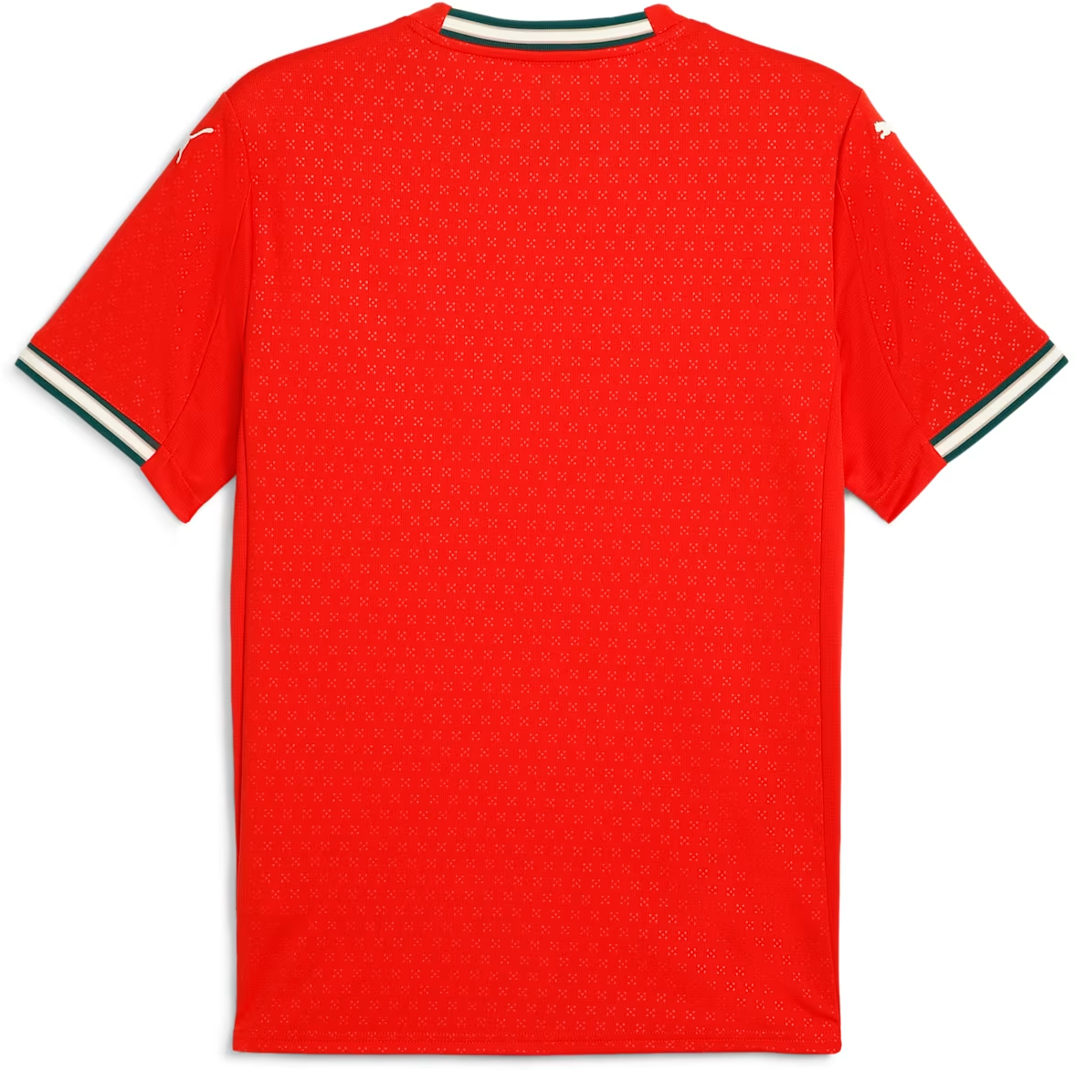 Dres Puma Portugal 2025 Home Jersey Červená | 779190-01, 1