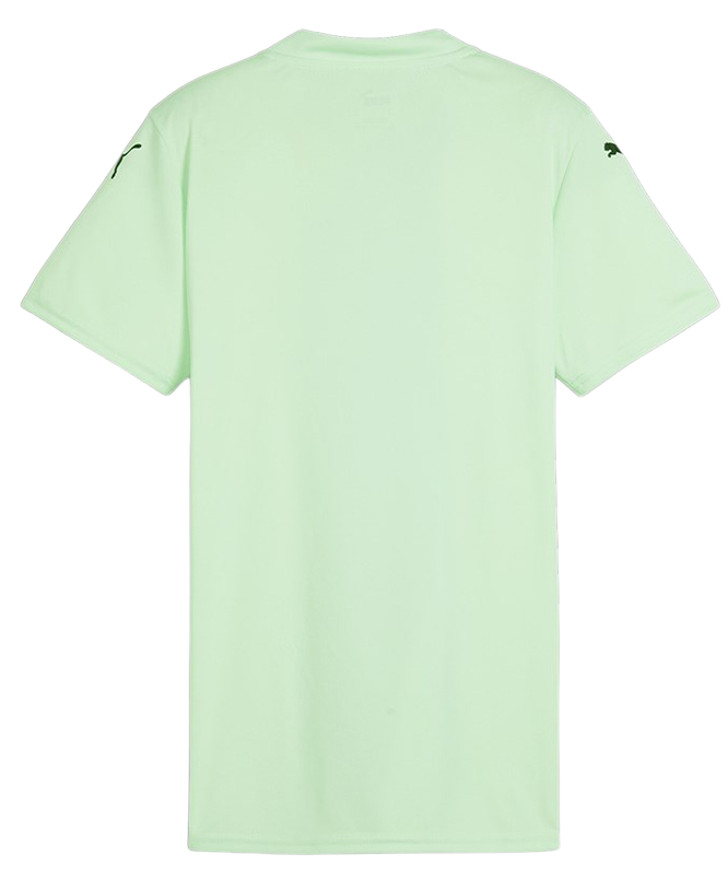 Dres Puma teamGLORY Jersey Wmns Tyrkysová | 705742-60, 1
