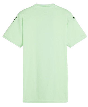 Dres Puma teamGLORY Jersey Wmns Tyrkysová | 705742-60, 1