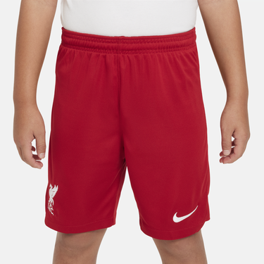 Šortky Nike Dri-FIT Liverpool FC 2023/24 Shorts Červená | dx2788-687, 4
