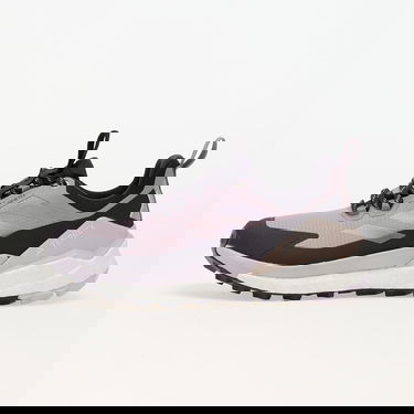 Tenisky a topánky adidas Performance Terrex Free Hiker 2 Low Gtx W Prlofi/ Silver Dawn/ Aurbla Fialová | IH3540, 0