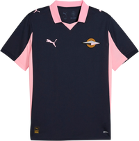 Palermo Away Jersey Replica 2025/26