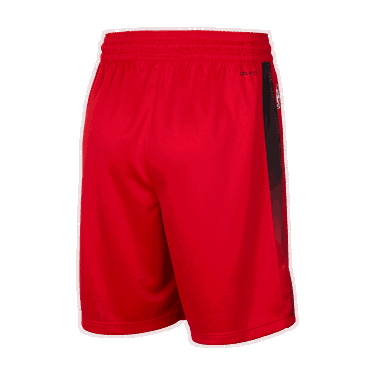 Šortky Nike Dri-FIT NBA Swingman Miami Heat City Edition 2024/25 Červená | FQ4412-657, 2