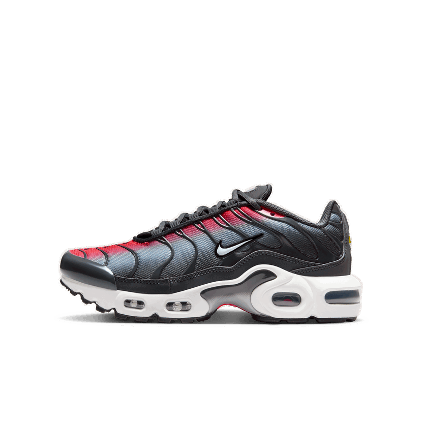 Tenisky a topánky Nike Air Max Plus Červená | CD0609-604