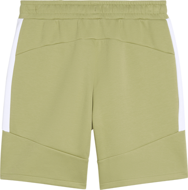 Šortky Puma Puma teamEvostripe Shorts Zelené | 659951-40, 1
