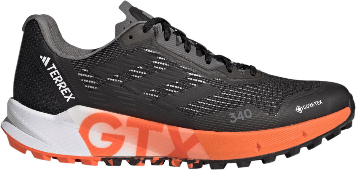 Tenisky a topánky adidas Performance TERREX AGRAVIC FLOW 2 GTX Čierna | hr1110, 0