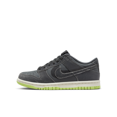 Tenisky a topánky Nike Dunk Low "Iron Grey" GS Šedá | DQ6215-001, 0