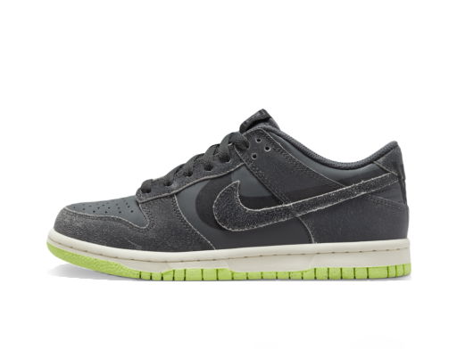 Tenisky a topánky Nike Dunk Low "Iron Grey" GS Šedá | DQ6215-001