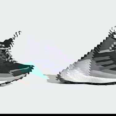 Tenisky a topánky adidas Performance Terrex Free Hiker 2.0 Gore-Tex Hiking Boots Čierna | JQ9902, 0