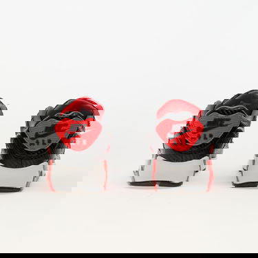 Tenisky a topánky Nike Air Max 90 Prm Šedá | HM9432-001, 4