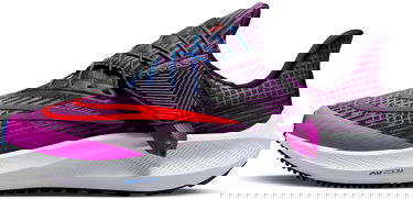 Tenisky a topánky Nike Air Zoom Pegasus 39 FlyEase Fialová | dj7383-501, 0