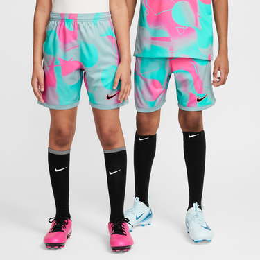 Šortky Nike Dri-FIT Academy+ Shorts Rôznofarebný | HJ3827-646, 2