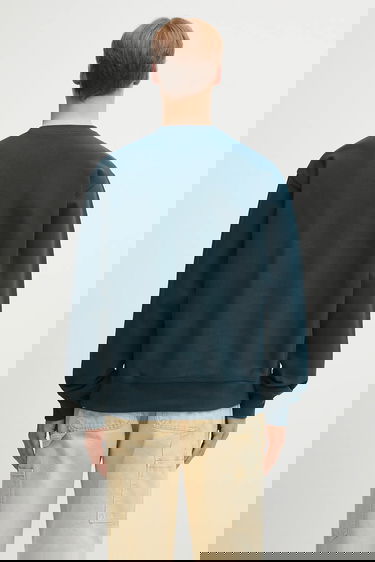 Mikina Carhartt WIP American Script Sweatshirt with embroidered logo Zelené | I025475.0AUXX, 2