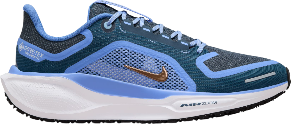 Tenisky a topánky Nike Pegasus 41 GORE-TEX Modrá | fq1357-400, 0