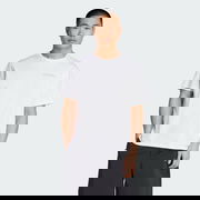 Polygiene Graphic Tee