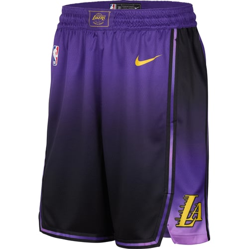 Šortky Nike Basketball Swingman Shorts Fialová | FQ4410, 0