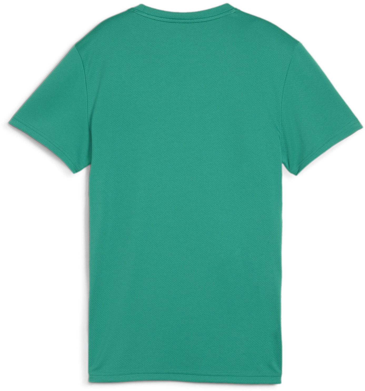 Tričko Puma teamGOAL T-shirt Zelené | 658638-05, 1