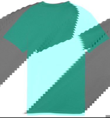 Tričko Puma teamGOAL T-shirt Zelené | 658638-05, 1