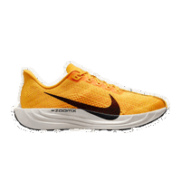 ZoomX Pegasus